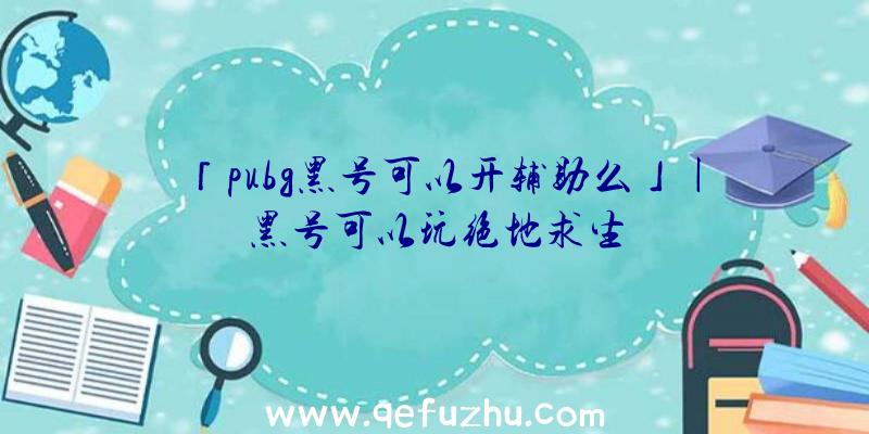 「pubg黑号可以开辅助么」|黑号可以玩绝地求生